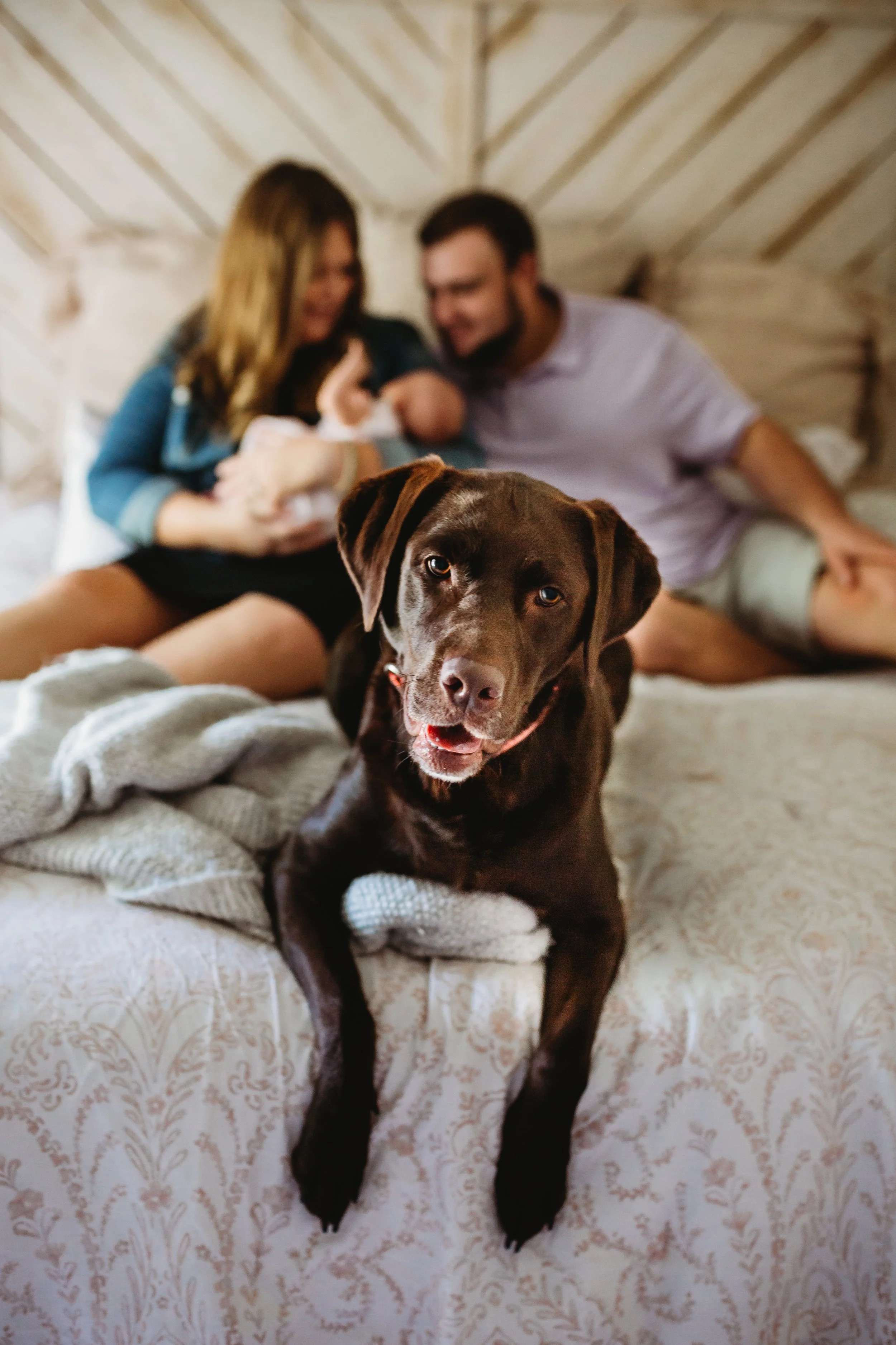 Lifestyle Photography